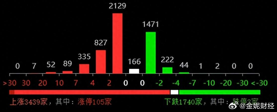 一肖一码中精选解析、落实与策略