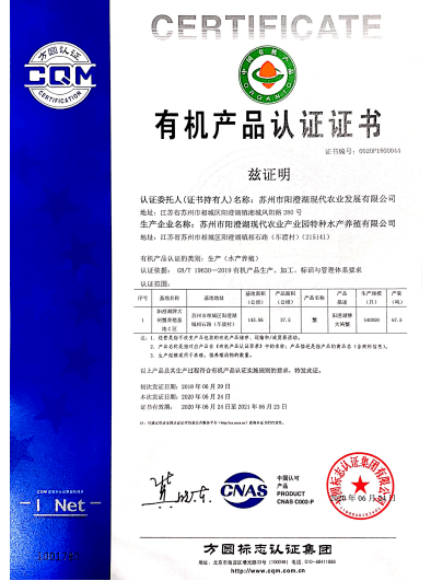 2025澳门和香港特马网站www,，公证释义解释落实_nnh86.76.95