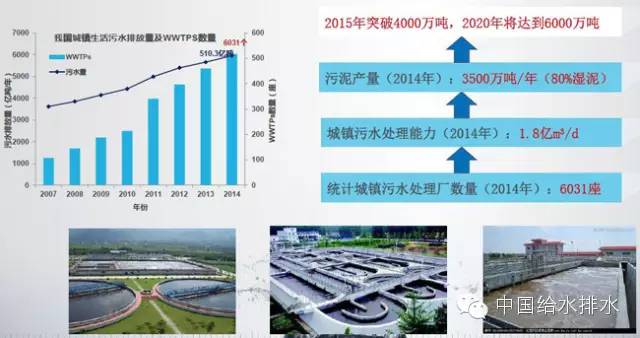 泰尔丝最新的技术革新与产品升级，引领行业走向新的里程碑