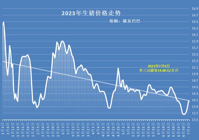 最新今日猪价格动态分析